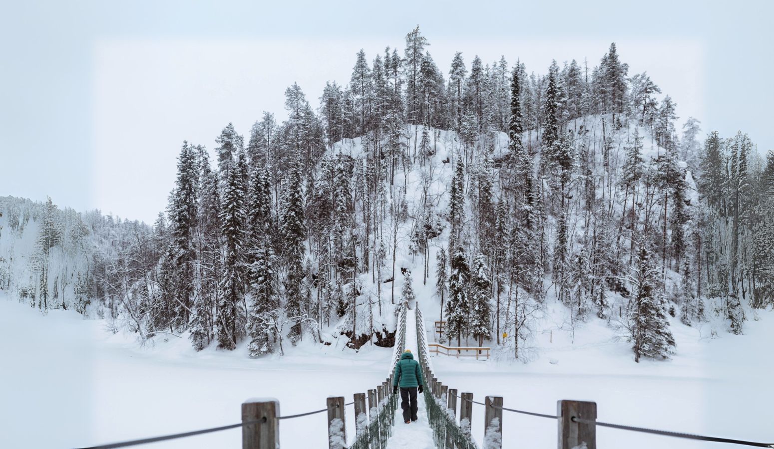 Bosque nevado de Laponia